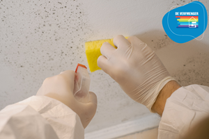 Wipeable Paint