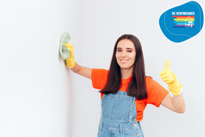 Washable Wall Paint