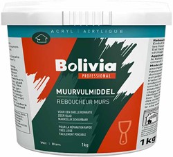 Bolivia Wandfüllmittel