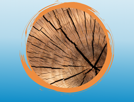 Peinture pour bois