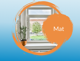 Matte finish frame paint