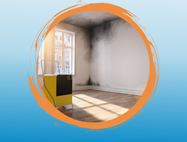 Anti-nicotine stain paint