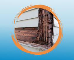Repairing wood rot