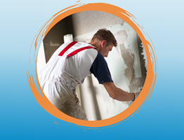 Revêtements muraux Renovlies pour murs en plâtre