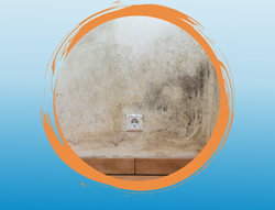 Peinture anti-moisissure 