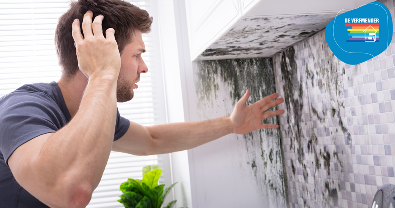 Schimmel op de muur