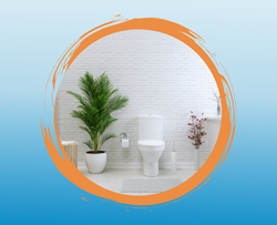 Toilettes 