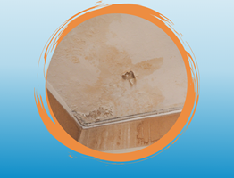 Paint damp spots