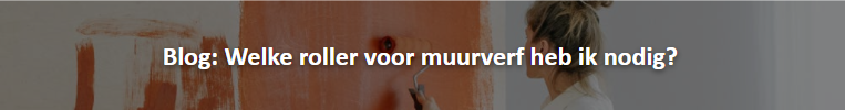 Voorpag - Blog - welke muurverfroller