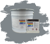 VP Platina Epoxy EP RAL 7046 