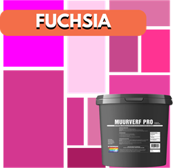 fuchsia