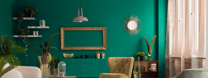 Groene Muurverf | De mooiste kleur thuis