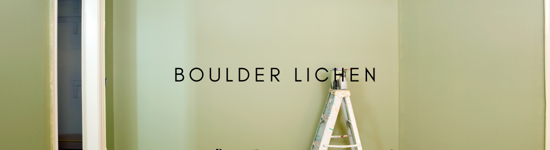 Histor Boulder Lichen PPG1127-4