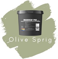 Muurverf Olive Sprig  (PPG1125-4) Kleur van het jaar 2022 - Histor (w)