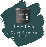 Muurverf Pro Quiet Clearing (PPG1145-7) Kleur van het jaar 2019 - Histor (tr)