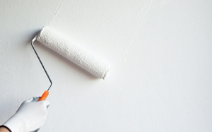 Rouleaux pour peinture murale