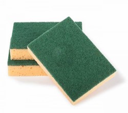 VP Pro Scouring Sponge