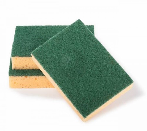 VP Éponge Abrasive Pro