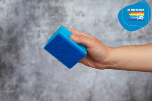 Scouring sponge