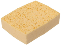 Spontex Schwamm