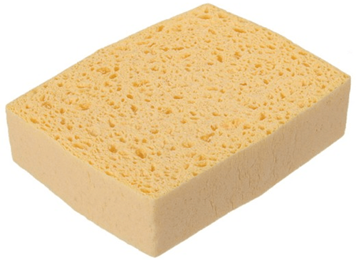Spontex Sponge